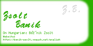 zsolt banik business card